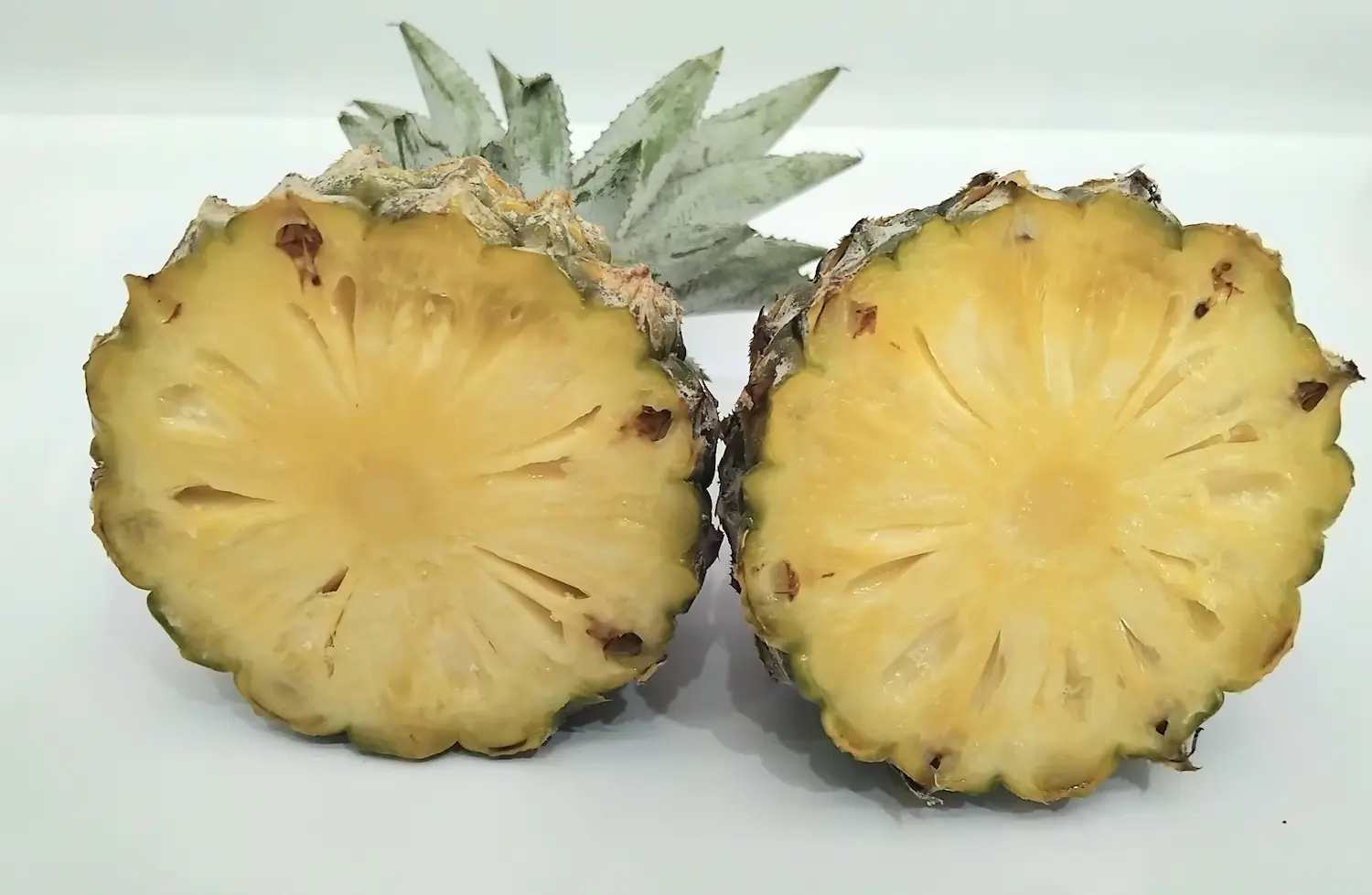 Qu’est-ce que la bromélaïne ? Tout savoir sur cette enzyme naturelle